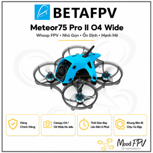 FPV Drones